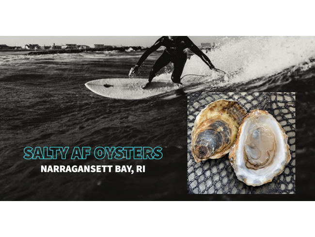 Salty AF Oyster - 25 count